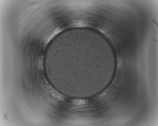 X0000102241314200808151744