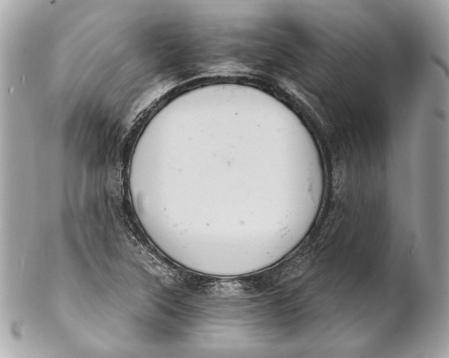 X0000102241315200808151744