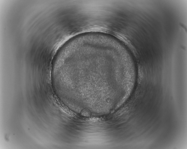 X0000102241316200808151744