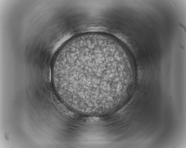 X0000102241317200808151744