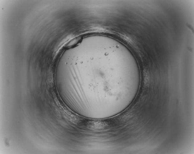 X0000102241318200808151744