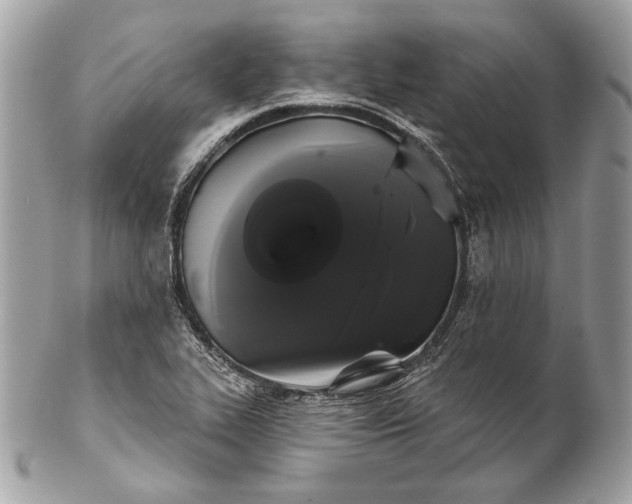 X0000102241319200808151744