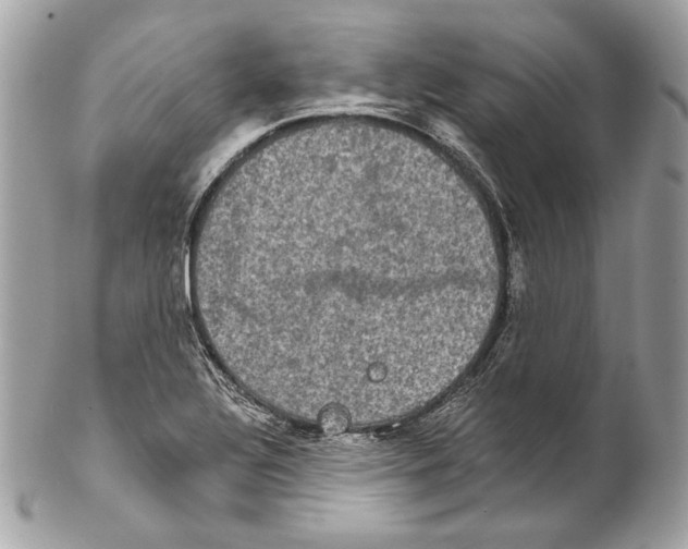 X0000102241320200808151744