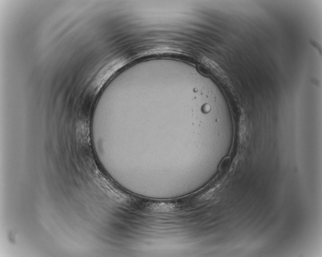 X0000102241321200808151744