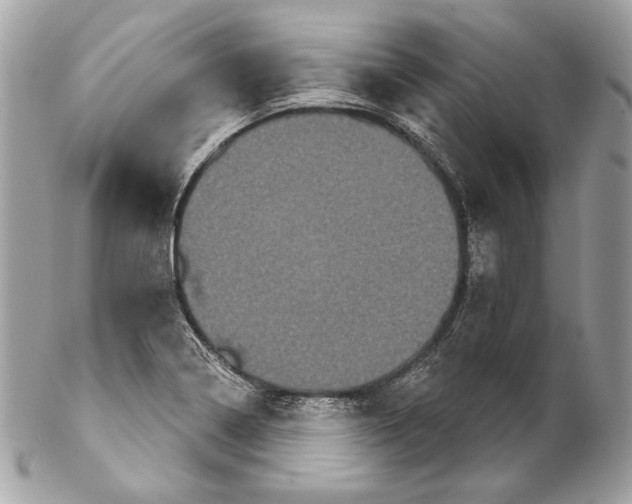 X0000102241322200808151744