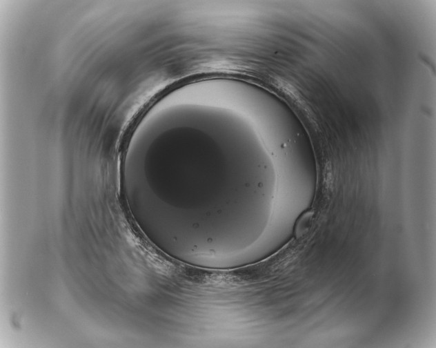 X0000102241323200808151744