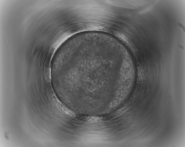 X0000102241324200808151744