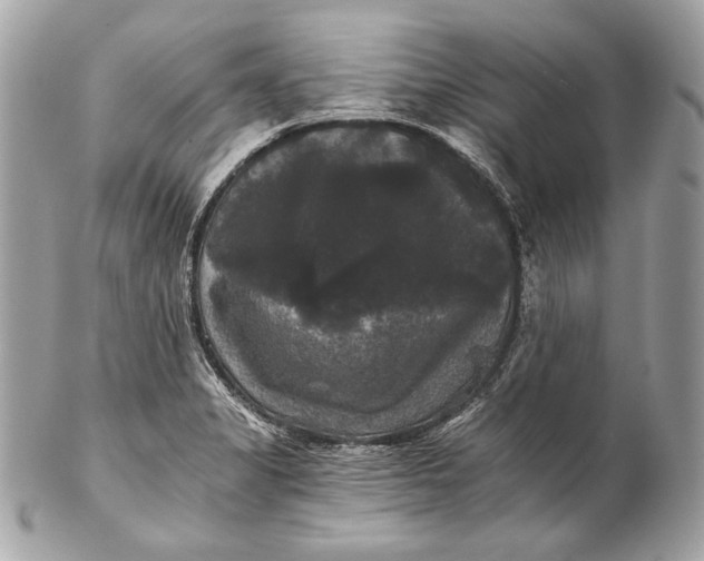 X0000102241325200808151744