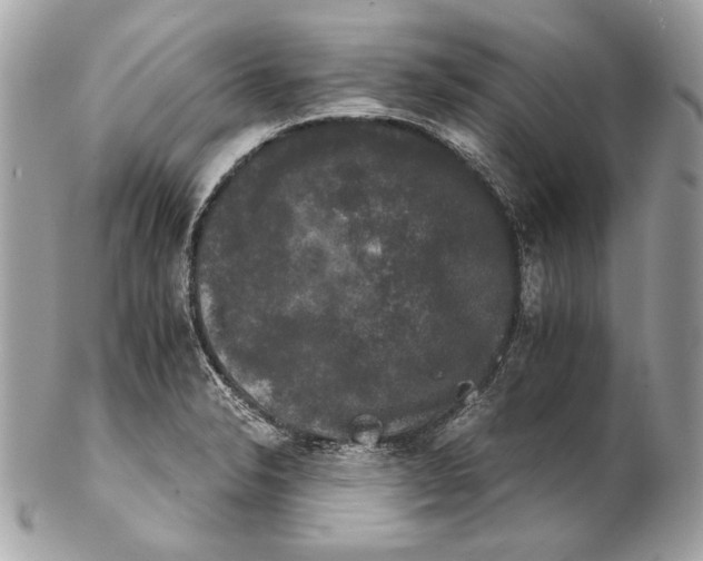 X0000102241326200808151744