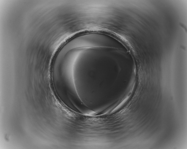 X0000102241327200808151744