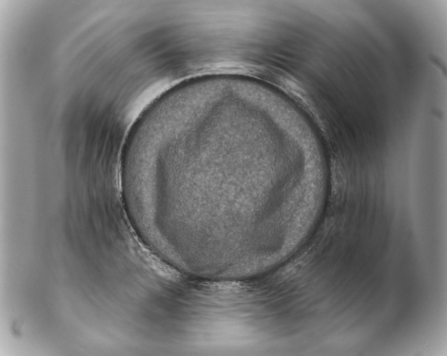 X0000102241328200808151744