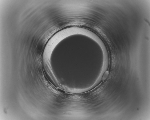 X0000102241329200808151744