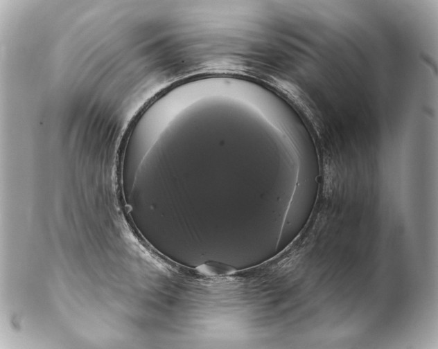 X0000102241331200808151744