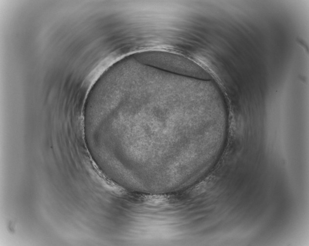 X0000102241332200808151744