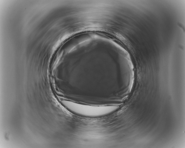 X0000102241334200808151744