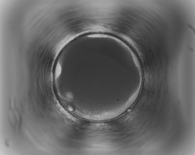 X0000102241335200808151744