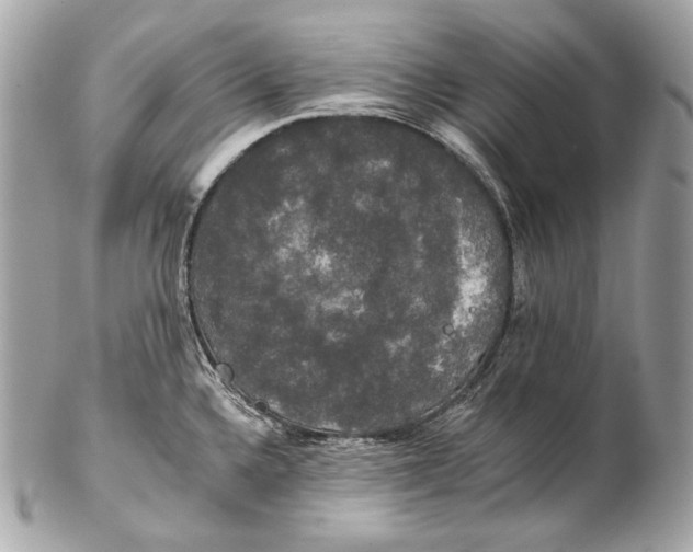 X0000102241336200808151744