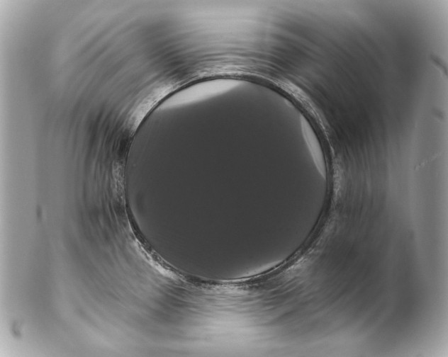 X0000102241337200808151744