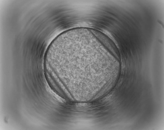 X0000102241339200808151744