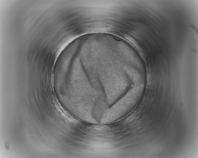 X0000102241340200808151744