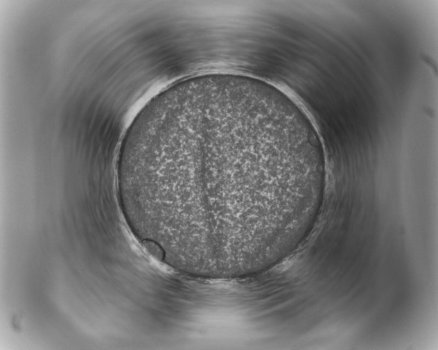 X0000102241341200808151744