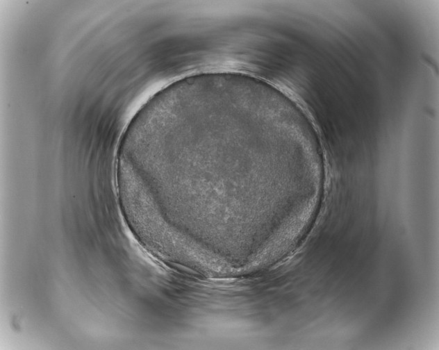 X0000102241342200808151744