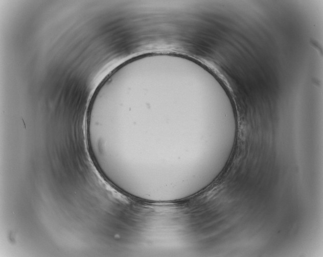 X0000102241343200808151744