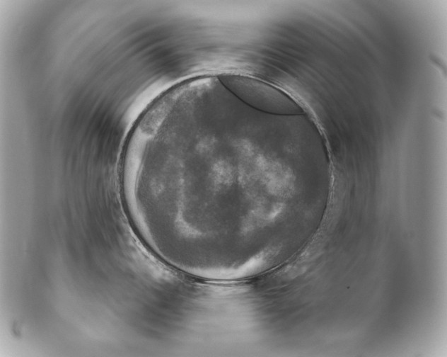 X0000102241344200808151744