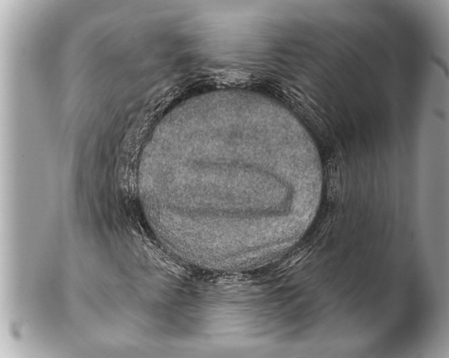 X0000102241345200808151744