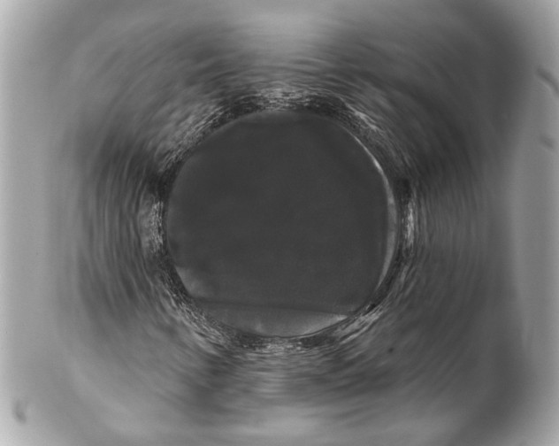 X0000102241346200808151744