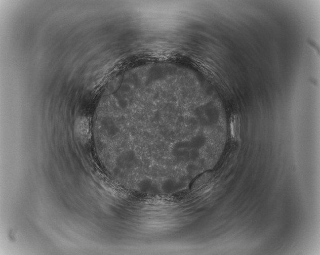 X0000102241347200808151744