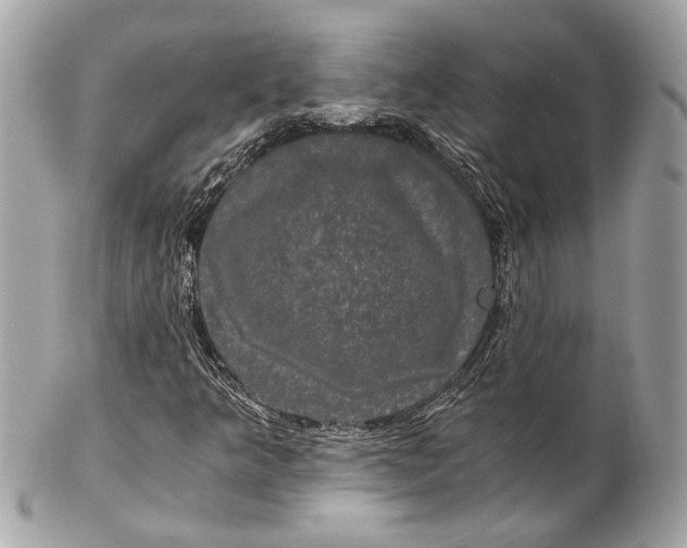 X0000102241349200808151744