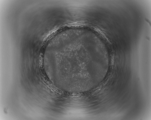 X0000102241350200808151744