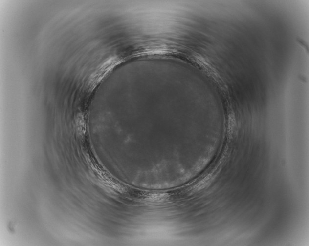 X0000102241353200808151744