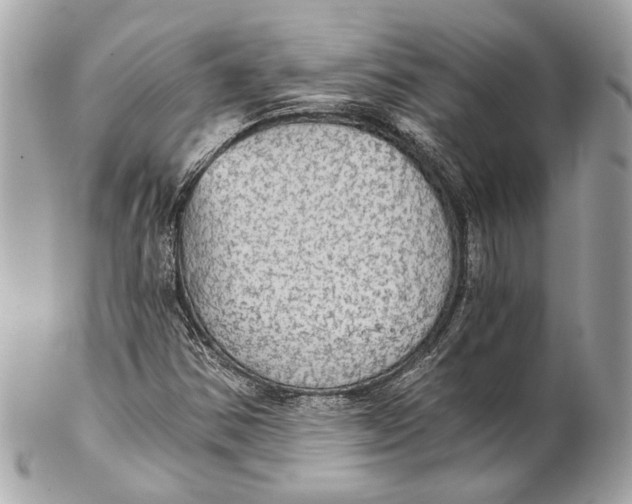 X0000102241354200808151744