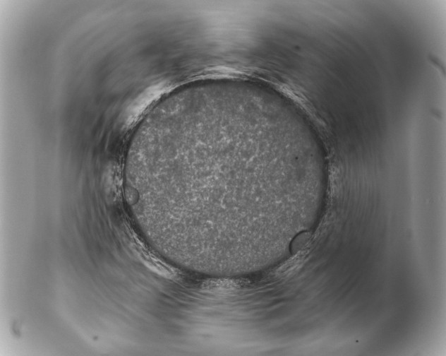 X0000102241355200808151744