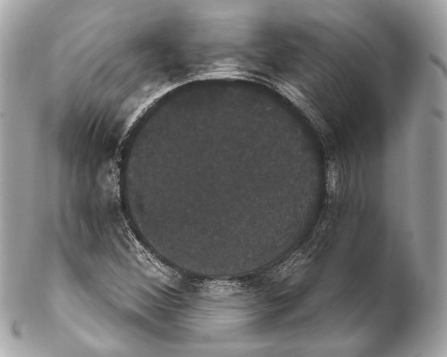 X0000102241356200808151744