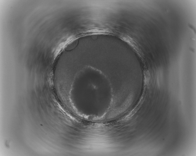 X0000102241357200808151744