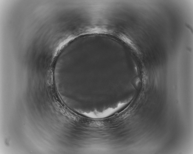 X0000102241358200808151743