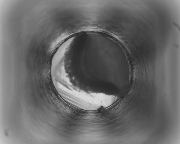 X0000102241359200808151743