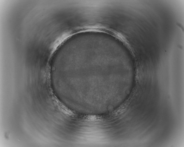 X0000102241360200808151743