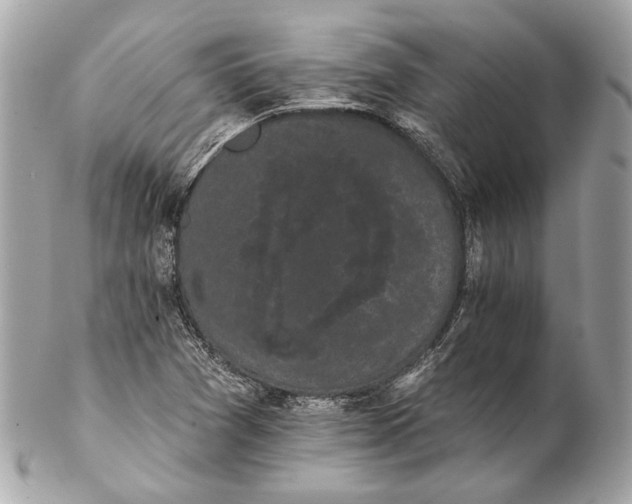 X0000102241361200808151743