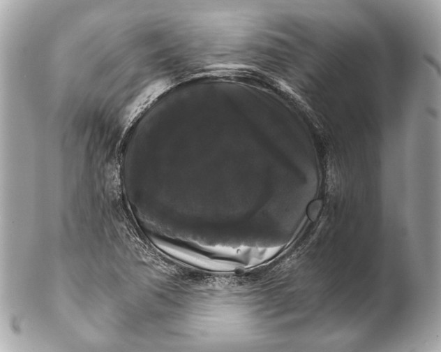 X0000102241362200808151743