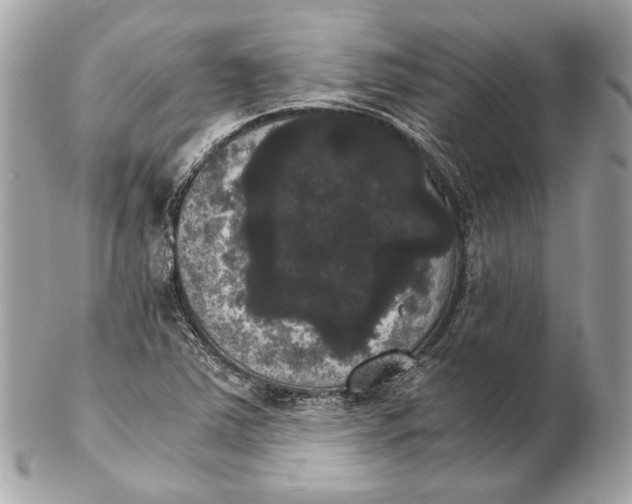 X0000102241363200808151743