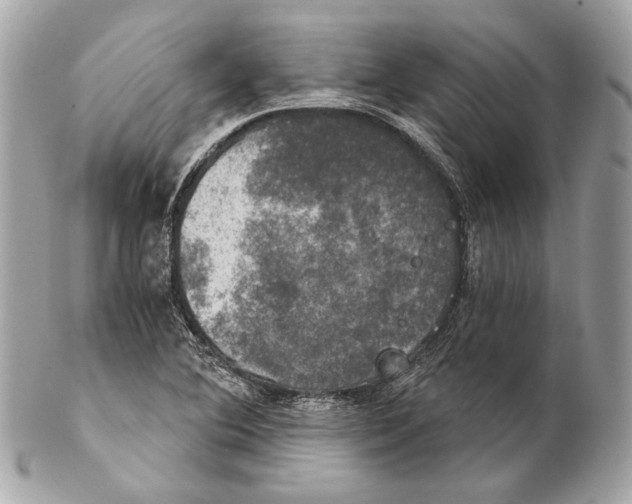 X0000102241364200808151743