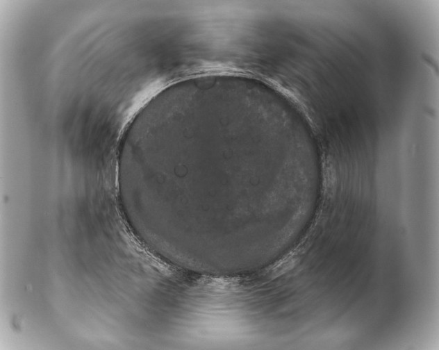 X0000102241365200808151743