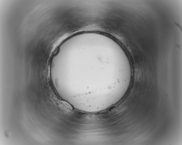 X0000102241366200808151743