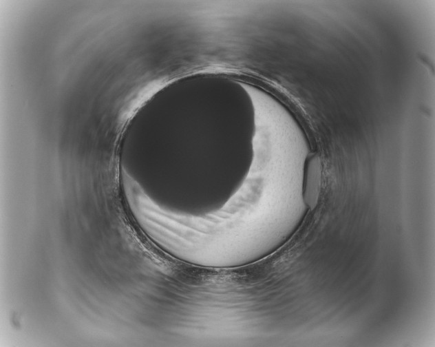 X0000102241367200808151743