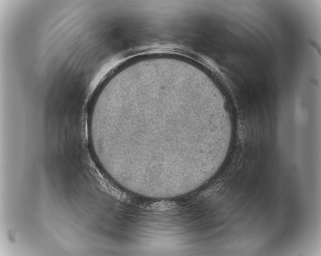 X0000102241368200808151743