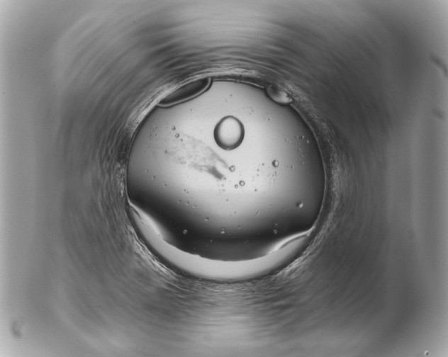 X0000102241369200808151743